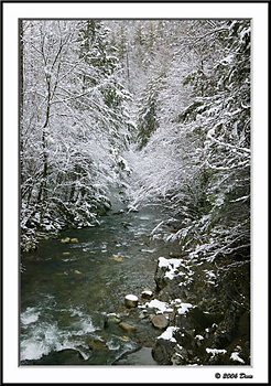 Winter Scene - Great Smoky Mountains National Park