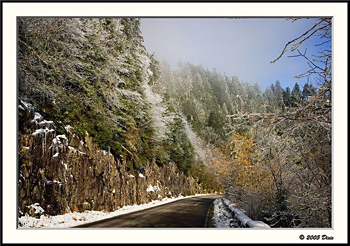 Clingman's Dome Road - Great Smoky Mountains